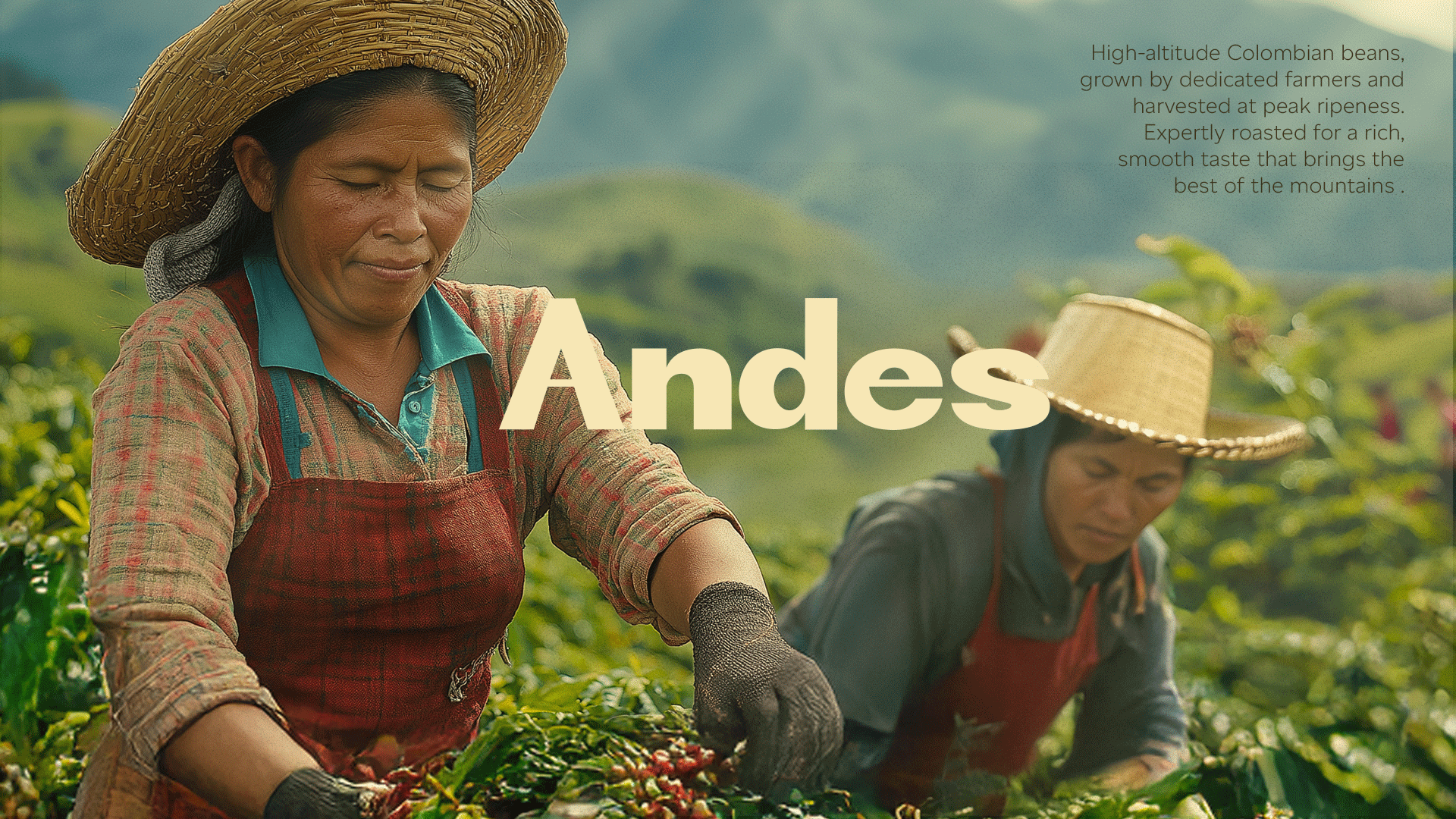 Andes-CoffeeGroup-1